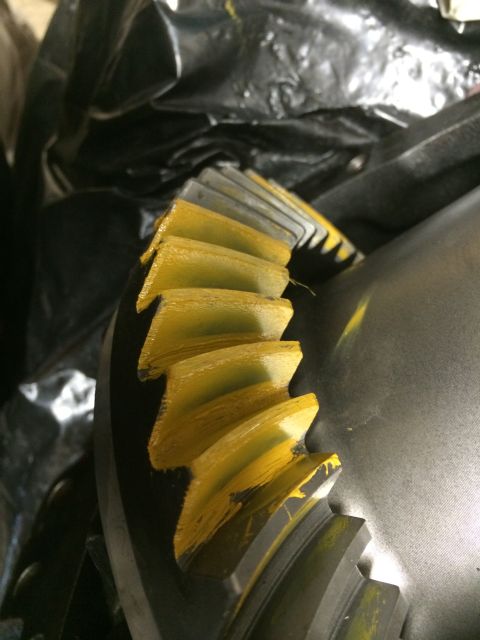 1996 Ford Bronco - A close-up view of a differential gear, showing wear patterns on its teeth.