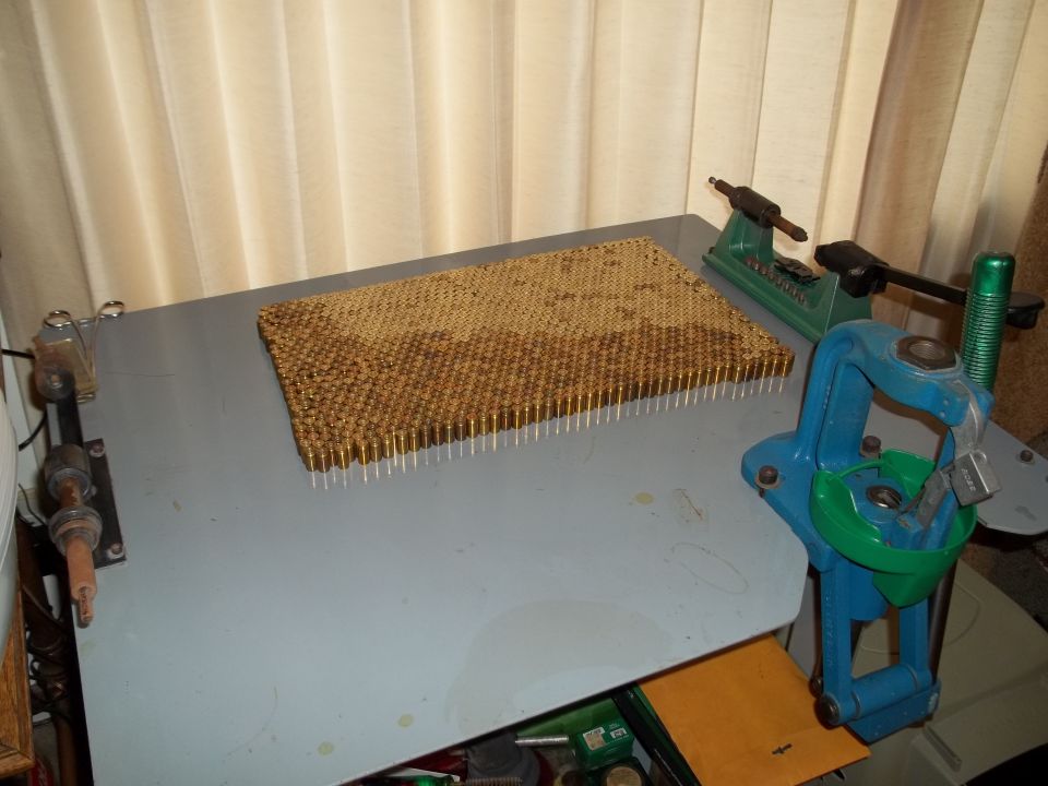 Reloading press and tray of cartridges on a workbench