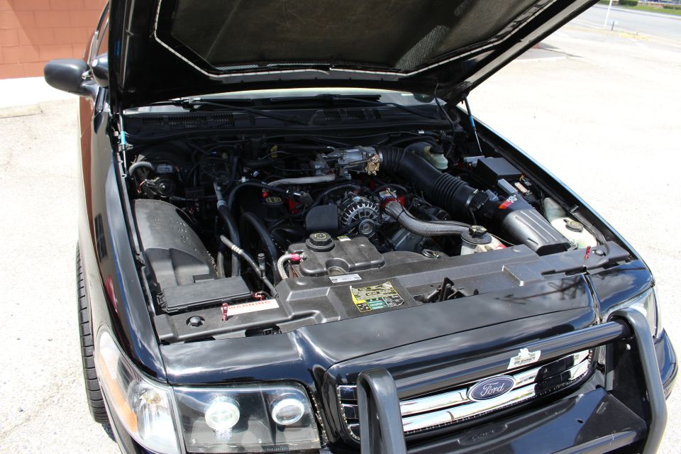 Engine compartment of a black Ford vehicle with chrome brush guard