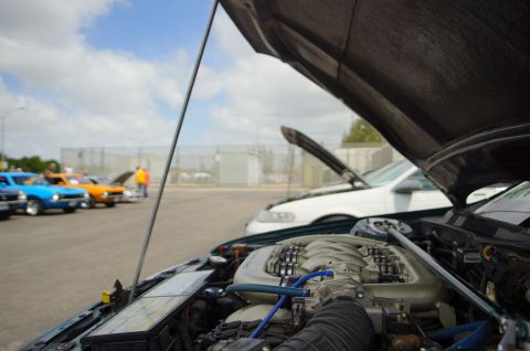 1995 Ford Taurus - Multiple cars with hoods open at an outdoor event, focusing on the engine of one vehicle.