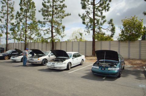 1995 Ford Taurus - Several sedans are parked in a lot with their hoods open, suggesting a car show or meet.