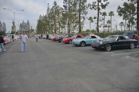 1995 Ford Taurus - A black 2002 Ford Thunderbird is parked at a car show, with its hood open, alongside other vehicles.