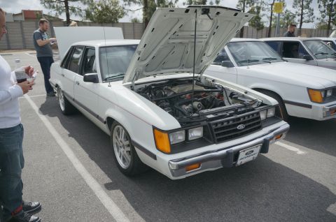 1995 Ford Taurus - A white Ford sedan from the early 1980s is displayed with its hood open at a car show.