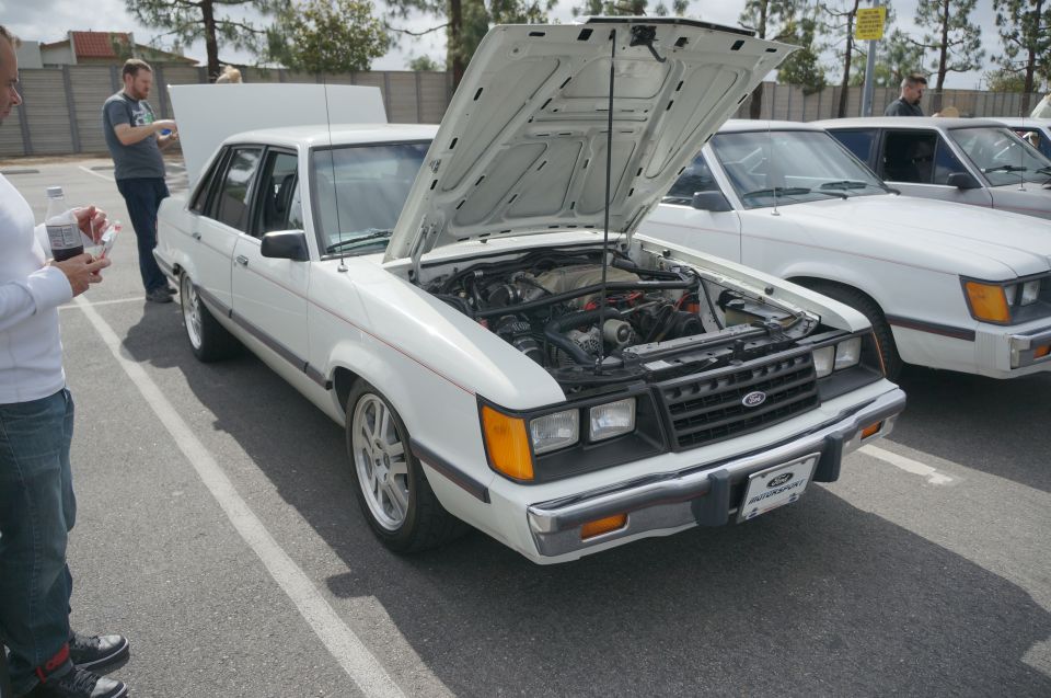 White Ford sedan with hood open, showing engine. Chrome bumper, black grille, aftermarket wheels. Another white Ford sedan is parked next to it