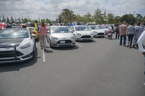 1995 Ford Taurus - Several Ford Focus cars, including a police-liveried ST model, are parked at an outdoor event.