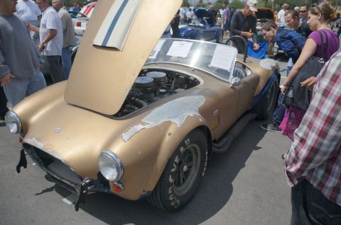 1995 Ford Taurus - A gold Shelby Cobra is displayed with its hood open, revealing the engine compartment to onlookers.
