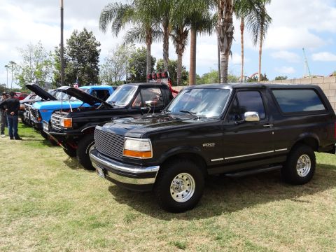 1994 Ford Bronco - A row of trucks and SUVs are parked on a grassy field under palm trees.