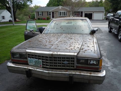 2001 Ford Crown Victoria - A weathered Ford Crown Victoria sits in a driveway, its hood covered in leaves and twigs.