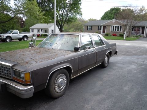 2001 Ford Crown Victoria - A dark sedan sits in a driveway, its hood and windshield covered in leaves and debris.