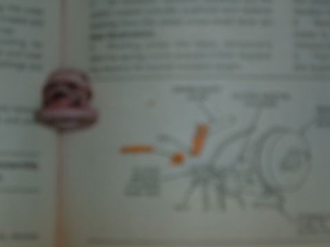 1988 Ford Bronco - Out-of-focus scanned service manual page showing a clutch and brake booster diagram with unreadable text.