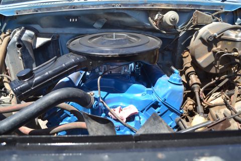 1981 Ford F-250 - Engine bay of a 1981 Ford F-250 shows a blue painted engine block and various components.