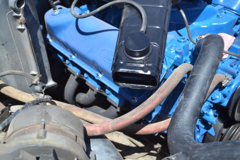 1981 Ford F-250 - The engine bay shows a blue Ford V8 engine with various hoses and components.