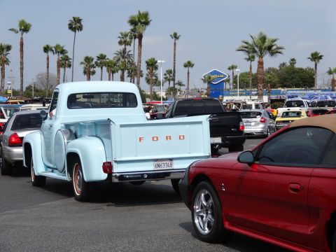 1994 Ford Bronco - A light blue 1953 Ford F-100 pickup truck is seen from the rear in a parking lot with palm trees.