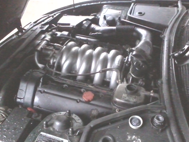 Engine bay with V-shaped intake manifold and various hoses