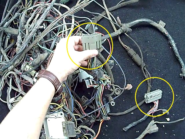 Hand holding a gray electrical connector with multiple wires attached to a large bundle of automotive wiring