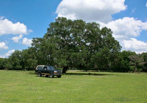 1994 Ford Bronco photo