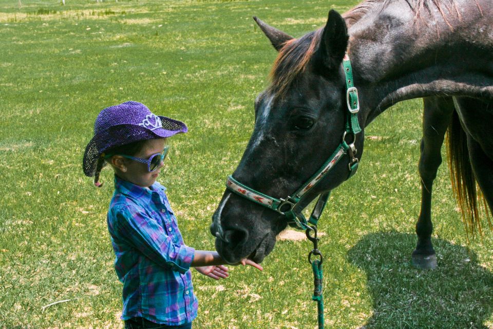 Kid in cowboy hat and sunglasses feeds a horse a treat in a grassy field