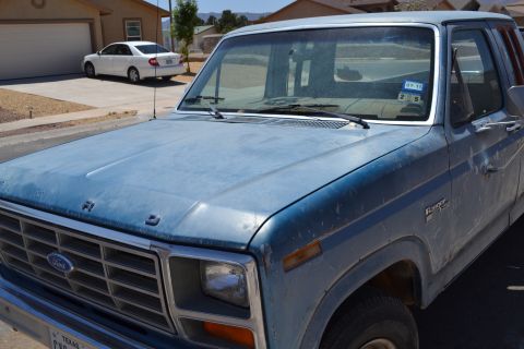 1981 Ford F-250 photo