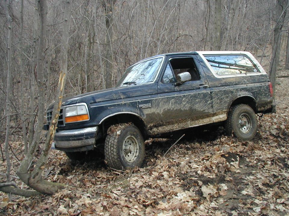 Mud-covered dark blue Ford Bronco parked on a leafy hillside in a bare winter forest, driver's side view.