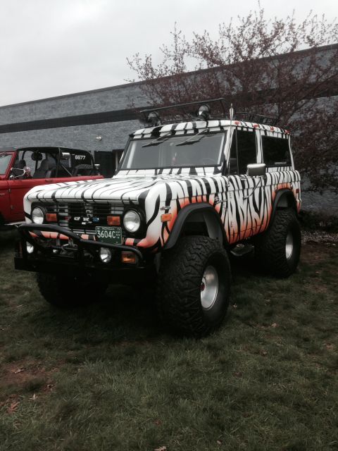 1995 Ford Bronco - This modified Ford Bronco features a distinctive tiger stripe paint scheme and is equipped for off-road use.