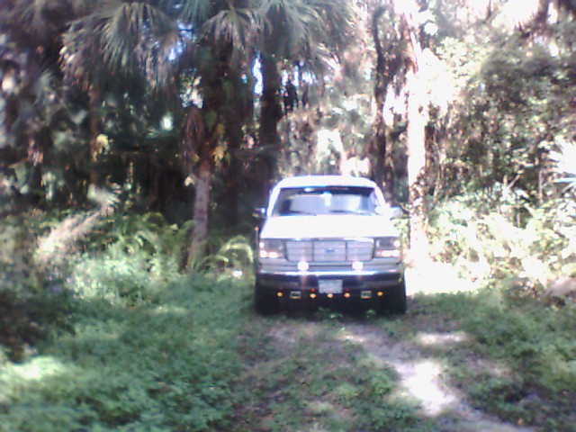 1995 Ford Bronco in 2004