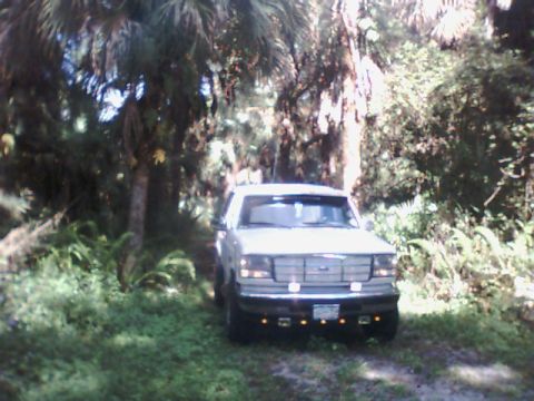 1995 Ford Bronco - A white 1995 Ford Bronco is parked on a dirt road surrounded by lush greenery and trees.