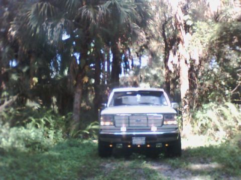 1995 Ford Bronco - Front view of a 1992 Ford F-250 truck parked in a wooded area with palm trees.