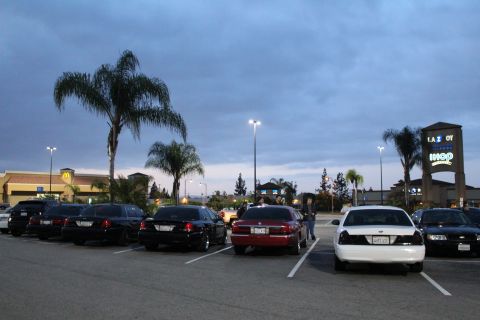 2003 Ford Crown Victoria - line of dark and white full-size sedans is parked beside tall palm trees in a strip-mall lot lit by parking lights at twilight.