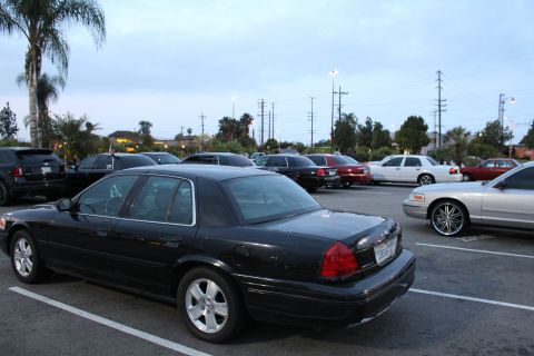 2003 Ford Crown Victoria - black full-size sedan shown from the rear three-quarter on alloy wheels, parked in a lot with other cars and palm trees at dusk.