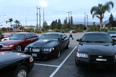 2003 Ford Crown Victoria - Two black Ford sedans with front push bars parked among other cars at dusk, with mountains and palm trees in the background.