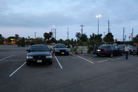 2003 Ford Crown Victoria - Several dark Ford sedans parked across an empty lot at dusk, with people standing at right and palm trees on the horizon.