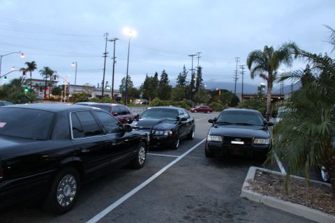 2003 Ford Crown Victoria - row of black Ford full-size sedans parked beside palm trees at dusk, with hazy mountains in the background.