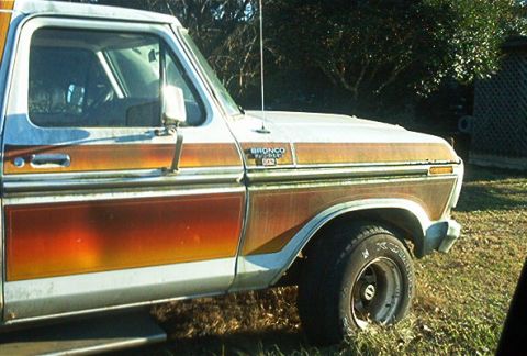 1979 Ford Bronco - The side panel of a 1978 Ford Bronco shows its distinctive woodgrain trim and chrome accents.