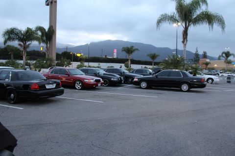 2003 Ford Crown Victoria - row of black and dark red full-size sedans parked in a lot at dusk, with palm trees and hazy mountains in the background.
