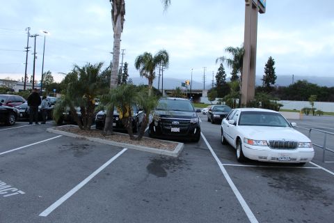 2003 Ford Crown Victoria - white Mercury Grand Marquis and a black Ford Explorer SUV sit parked beside a palm-tree planter at dusk.