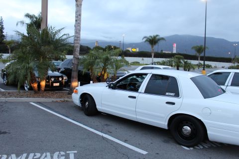2003 Ford Crown Victoria - white Crown Victoria sedan and a black Ford Explorer SUV sit parked near palm trees in a lot at dusk.