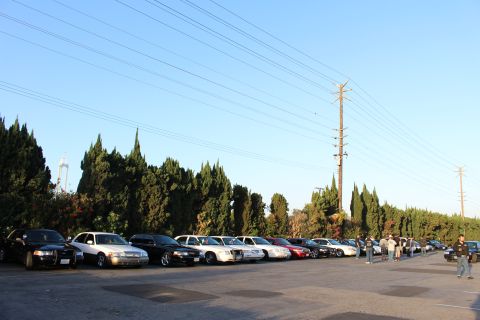 2003 Ford Crown Victoria - long row of sedans, several white and black, lines up along tall trees under a clear sky with a power pole.