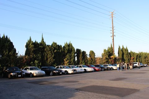 2003 Ford Crown Victoria - lineup of sedans in black, white and red sits parked along a tall hedge of trees in golden light.