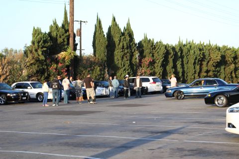 2003 Ford Crown Victoria - People gather among parked black and white sedans, with a blue sedan at right, along a row of trees.