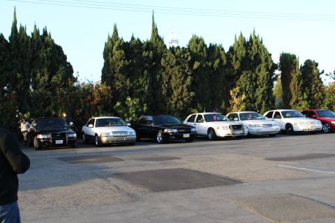 2003 Ford Crown Victoria - row of black and white full-size sedans parks along tall dark trees in late-afternoon light.