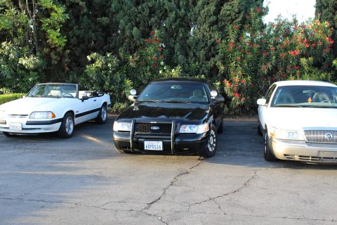 2003 Ford Crown Victoria - white convertible, a black Ford sedan with a push bar, and a silver sedan park in front of flowering shrubs.