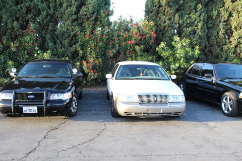 2003 Ford Crown Victoria - black Ford sedan with a brush guard parks beside a silver Mercury sedan in front of a flowering shrub.