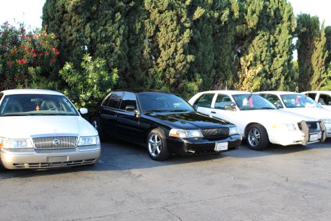 2003 Ford Crown Victoria - tan Mercury, a lowered black sedan and white sedans park side by side along shrubs and trees.