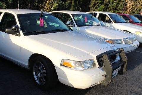 2003 Ford Crown Victoria - white Ford full-size sedan fitted with a black push bumper and pink dashboard sale tags, lined up with more white sedans in a parking lot.