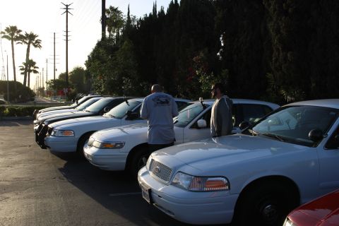 2003 Ford Crown Victoria - row of white full-size sedans parked nose-out along a curb as two men inspect them, with palm trees and power lines in the background.