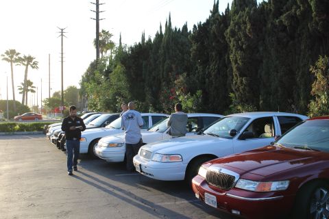 2003 Ford Crown Victoria - long angled row of white full-size sedans and a dark red Mercury, with several men walking and inspecting them in evening light.
