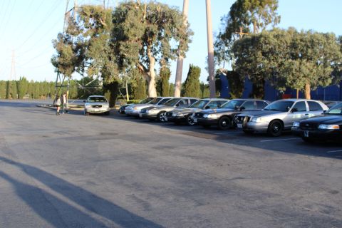 2003 Ford Crown Victoria - long lineup of silver, gold and black full-size sedans parked diagonally along a curb in an open lot, with tall trees and a person at left.