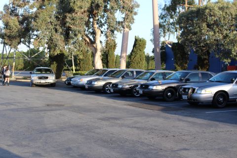 2003 Ford Crown Victoria - row of silver, gold and black full-size sedans parked at an angle in an open paved lot, with eucalyptus trees and a blue building behind.