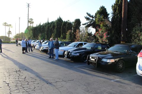 2003 Ford Crown Victoria - People mingle beside a long line of parked sedans, several black Fords with brush guards, against a tall hedge.