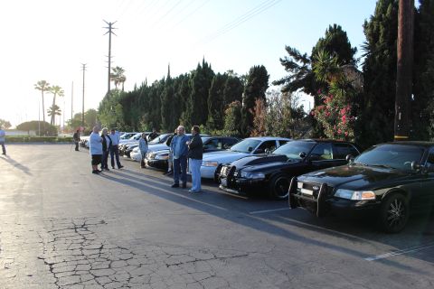 2003 Ford Crown Victoria - long row of parked sedans, including black units with brush guards, lines a lot as people stand beside them.